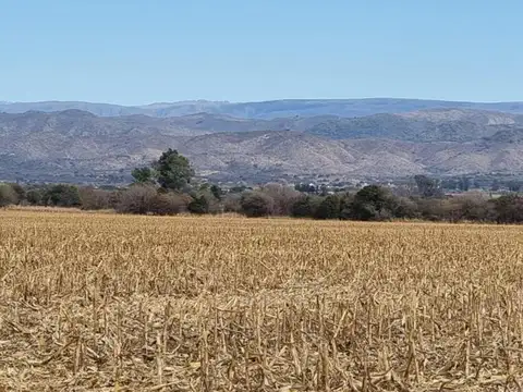 Venta Campo 7 has. Sobre ruta a  Alta Gracia