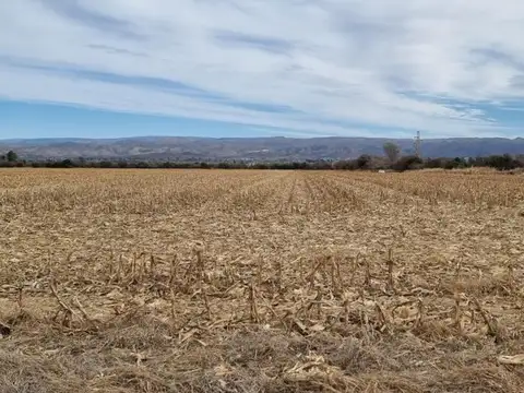 Venta Campo 7 has. Sobre ruta a  Alta Gracia