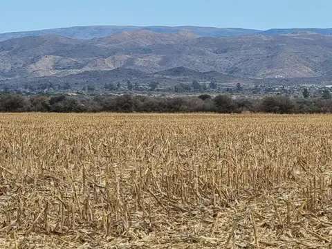 Venta Campo 7 has. Sobre ruta a  Alta Gracia