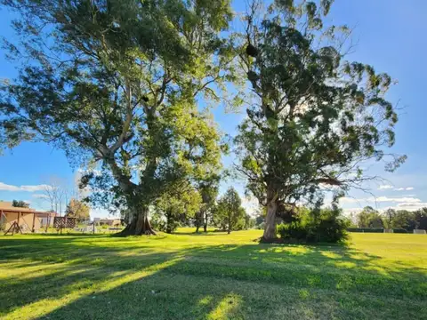 Ruta Provincial 1 1900