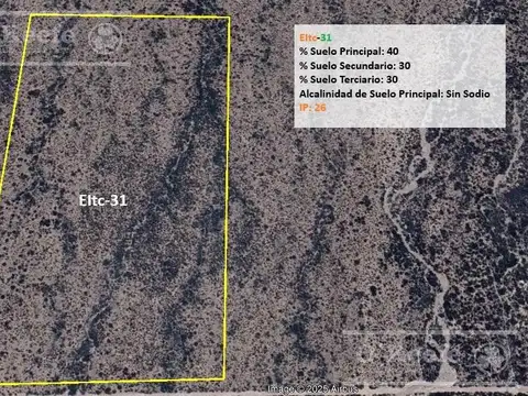 Venta de Campo en Ugarteche, Mendoza.  16 has a desarrollar a mts de ruta 86.