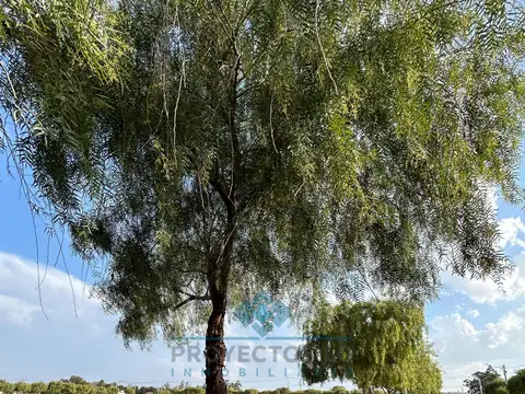 ¡LOTEO AIRES DE CAROYA – 118 LOTES EN VENTA!