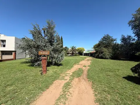 Carpintero 100