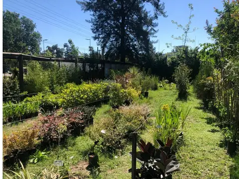 Rn Dr Arturo Illia 14600