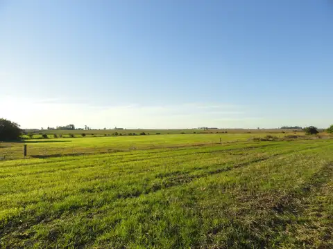 Campo en Venta de 90  ha