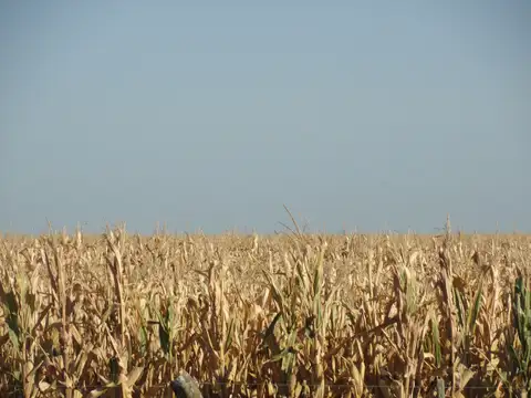 Gualeguaychú, agrícola sobre ruta