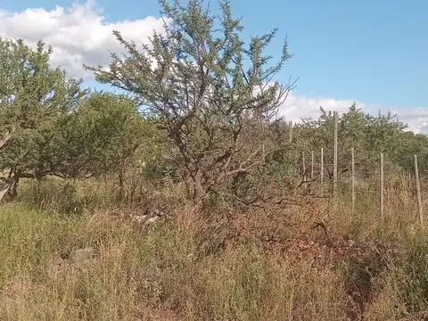 Rio Paraná 3400