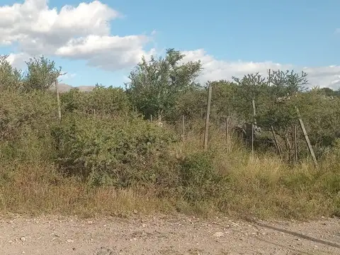 Terreno en Venta de 479,0 m2