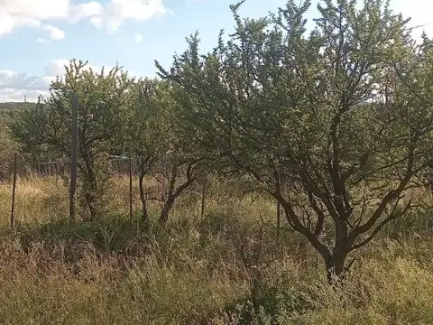 Terreno en Venta en Capilla del Monte, USD 8.000