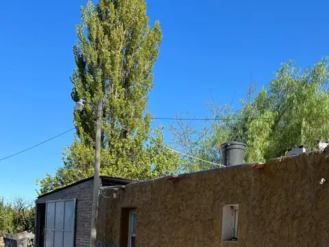 VENTA FINCA 79 HA - SAN MARTIN - MENDOZA
