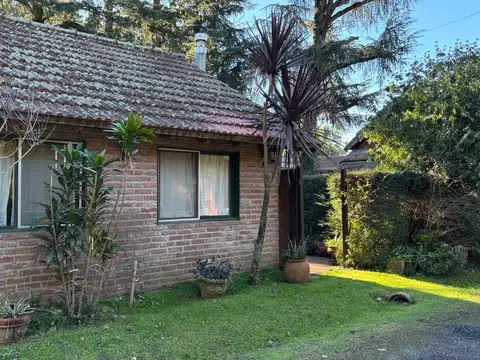 Country Mi Campo 2000