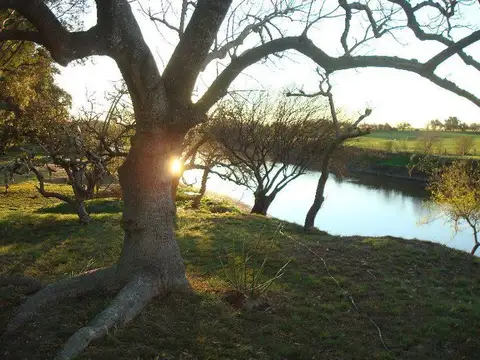 Terreno en Venta de 3000,0 m2