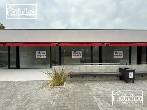 Local en Alquiler A Estrenar