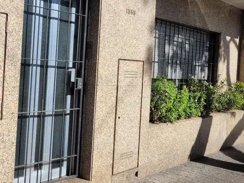 Constitucion 1300