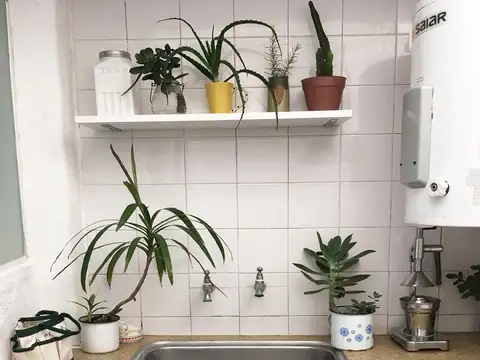 Depto Tipo Casa en Venta de 1 dormitorio