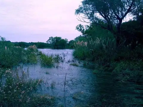 Camino A Los Condores