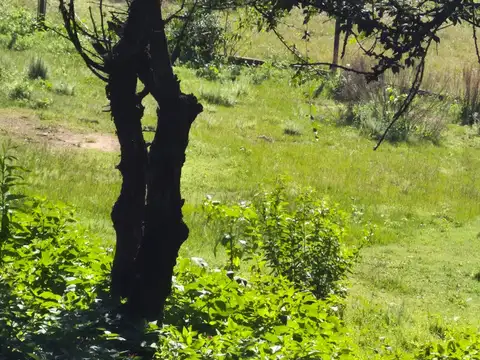 Terreno en Venta en Salsipuedes, USD 14.000