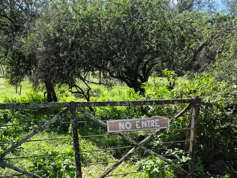 Terreno en Venta de 494,0 m2