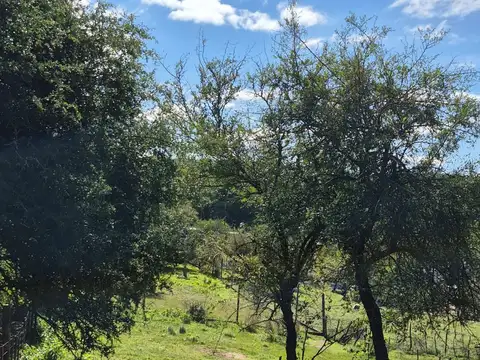 VENTA LOTE SALSIPUEDES