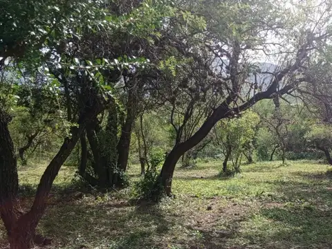 Terreno en Venta, FOT 40