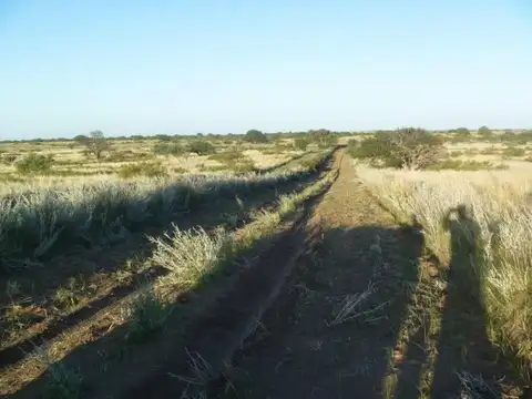 Casa Campo  en Venta en Chacharramendi, Utracan, La Pampa - BLA6142_LP573630_3