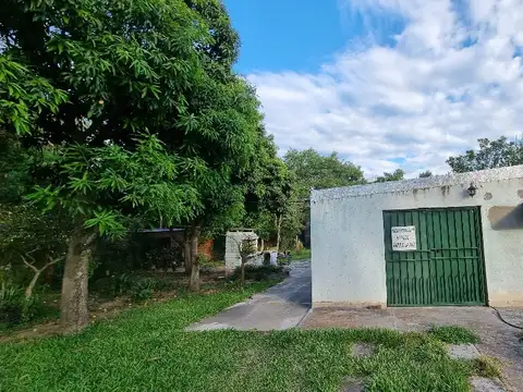 NAZARENO ROSSIANI 1400