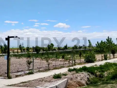 Terreno en Venta 24,26  mts Fondo