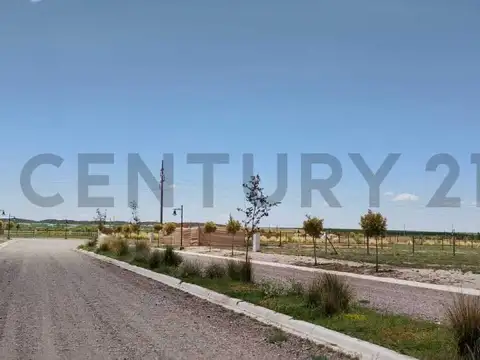 Terreno en Venta 24,55  mts Frente