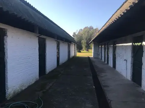 Campo en Venta de 4,50  ha