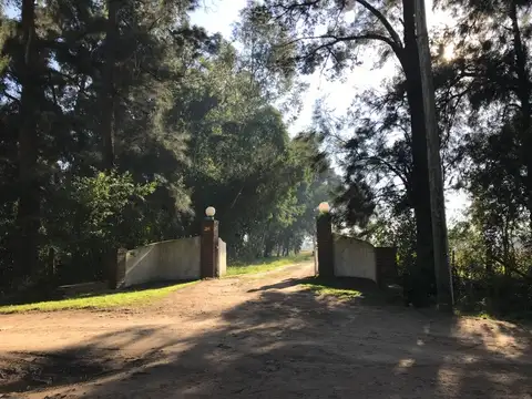 Pedro Quiroga y San Miguel del Monte