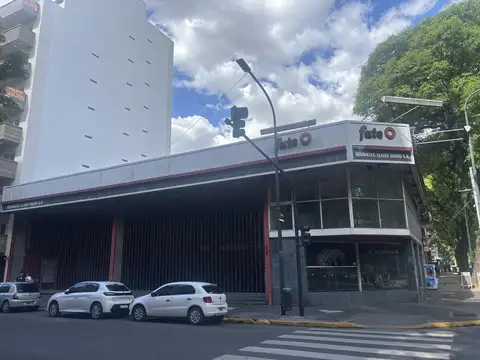 Pedro Goyena al 300