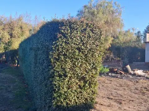 Casa en Venta de 1 dormitorio