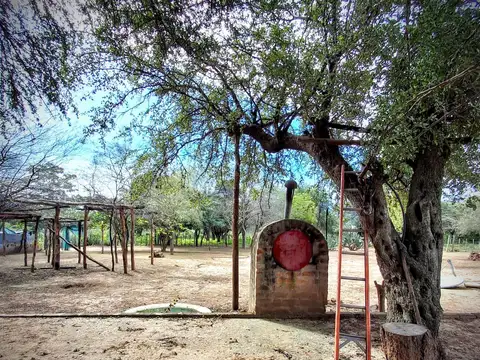 FORMOSA - Ruta 81 cercano a Chiriguanos