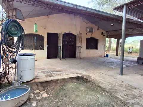 Campo sobre ruta 81 - Chiriguanos-