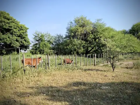 FORMOSA - Ruta 81 cercano a Chiriguanos