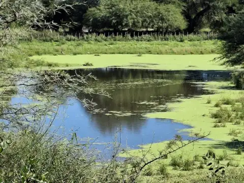 Campo sobre ruta 81 - Chiriguanos-