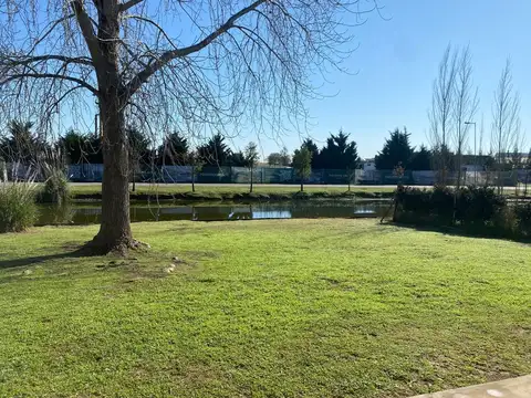 EL CANTON /MASCHWITZ 100