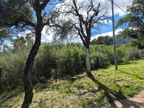Terreno en Venta de 1743,0 m2
