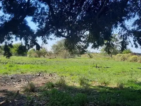 Terreno en venta - 12.000Mts2 - Magdalena