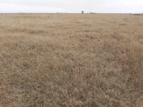 Noetinger - Córdoba