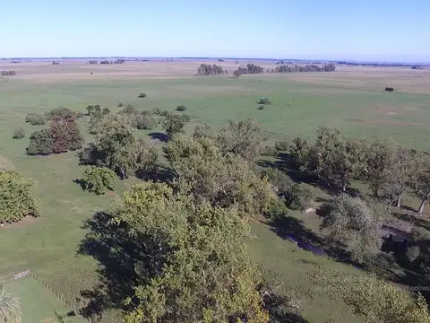 Campo en venta en Bme Bavio Gral Mansilla
