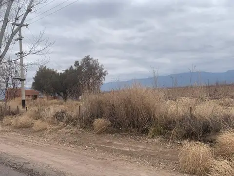 Finca - Anchoris