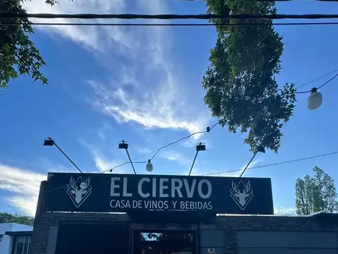 VENTA FONDO DE COMERCIO CHACRAS DE CORIA, MENDOZA