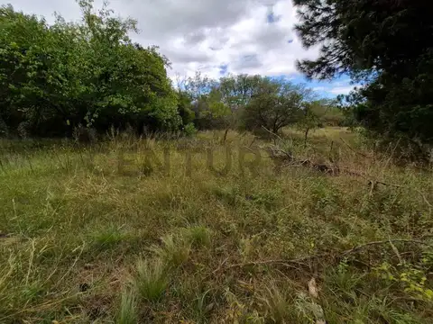 TERRENO 5000M2 EN SAN CLEMENTE - A 2 CUADRAS DE LA RUTA -  -