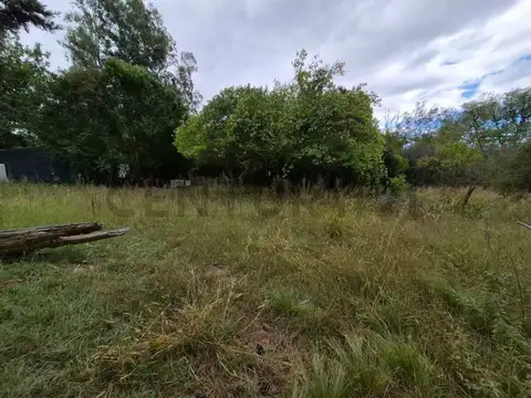 Terreno en Venta de 5000,0 m2