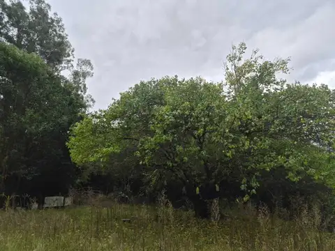 Terreno en Venta de 5000,0 m2