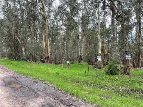 Terreno en Venta en Necochea, USD 9.000