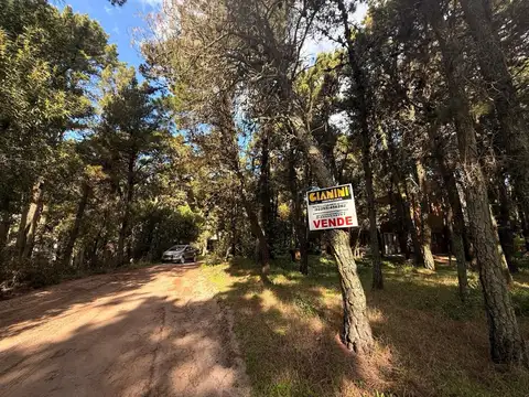 Terreno - Venta - Argentina, Mar de las Pampas