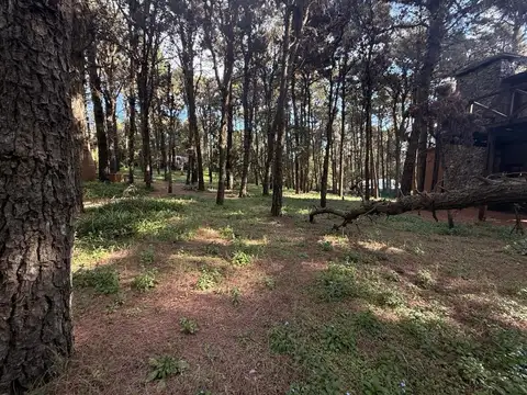 Terreno en Venta en Alfalad, USD 45.000