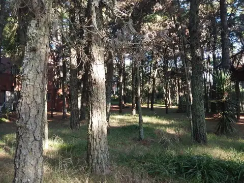 Parana